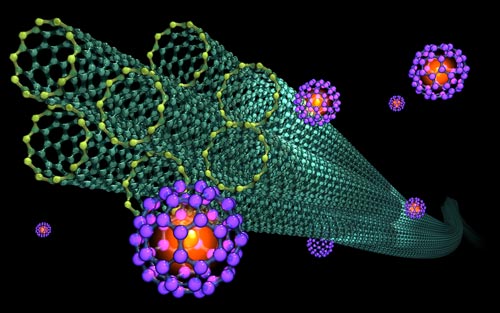 Carbon Nanotubus